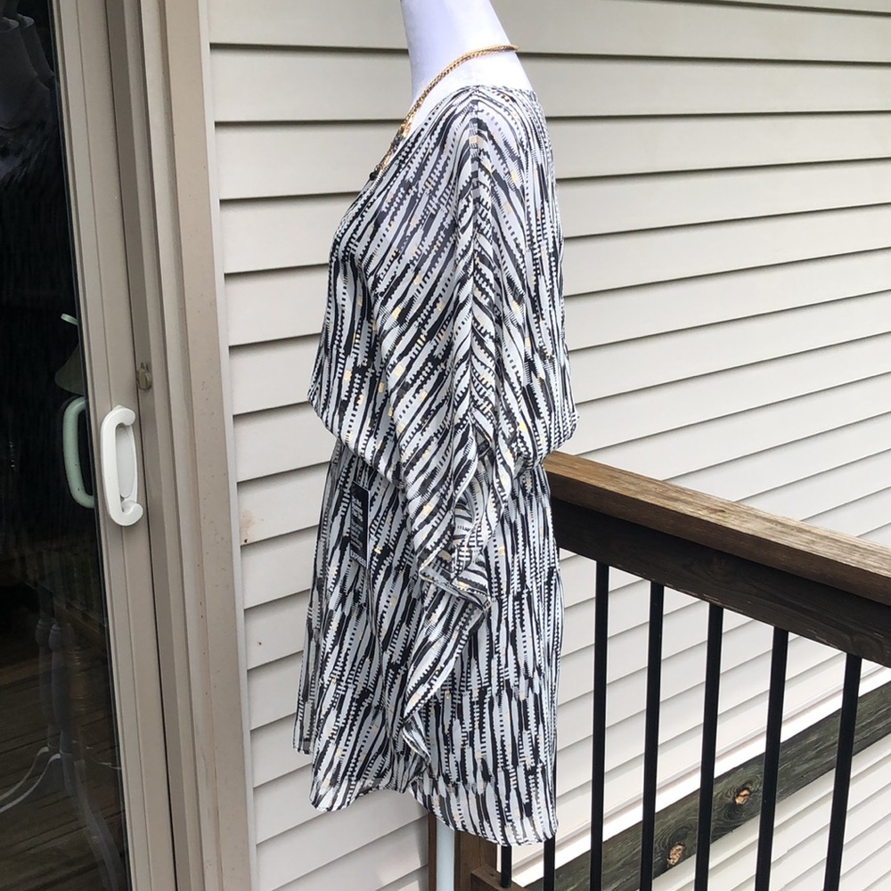 Express Sheer Summertime Dress - Picture 9 of 14